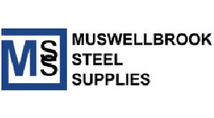 MS Logo